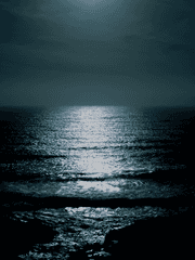 [죠스케 X 자캐(?)] 너는 달밤에 빛나고