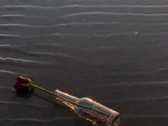 멜리사 조이 ( 코드네임 : 삐에로 )