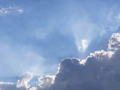 유일결함청람회