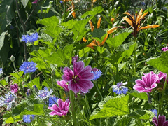 가끔 눈앞에 안개가 내려온다.