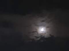 [신비아파트] 환영술사의 환술은 무엇을 보여줄까 3(완결)