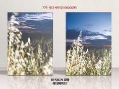 779 내다 버린 밤