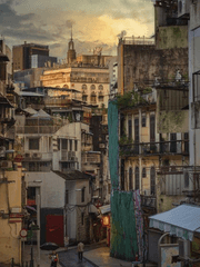 수상한 파라다이스