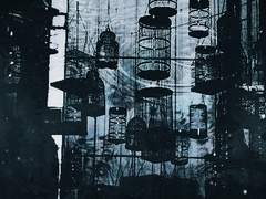 뱀을 삼킨 까마귀