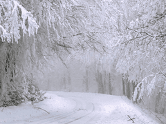 우연커 • 공개 프로필