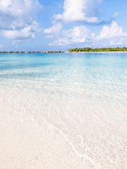 (링클윙첼) 구원자