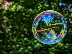 [슬램덩크] 비눗방울 부는 대만이가 보고싶어서 쓴 글