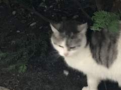 순간의 찰나를 채우던 당신이 어느새 나의 모든 여백을 채우고 있음을 알게되었을 때 당신을 사랑하고 있었다.