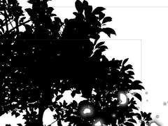 잊혀진 이야기.