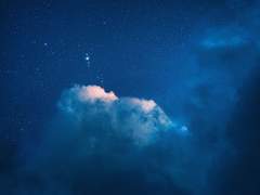 밤 향기에 취해