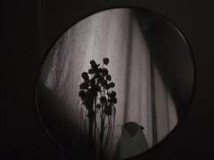 [고골도스] 사랑과 죽음은 한 끗 차이