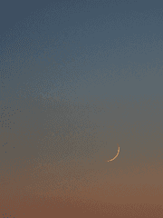 [망기무선] 여름의 손금.