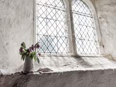 [릭벨져] Scabiosa.