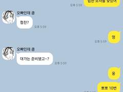 도리벤카피페모음(9)