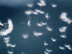 [금영영인] 나도 그래요