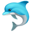 Dolphin