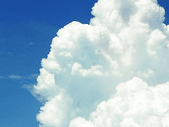 여름을 닮았다고 생각한다면 - 5(完)