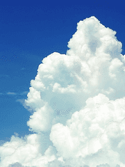 여름을 닮았다고 생각한다면