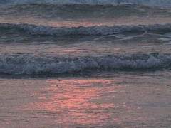 [슬램덩크] 이어진 여름