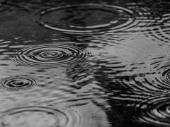 우산 안 가져온 드림