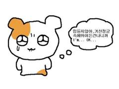 알바 점령기 TALK