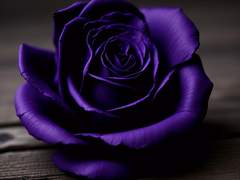 보라색은 가장 우울한 색깔