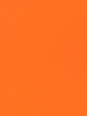 신세기 에반게리온