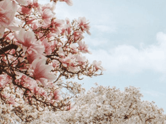 너를 안고 저 아래로