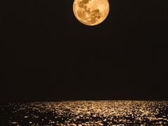 [해상산영] 공야(空夜) B-side