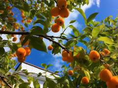 2023 공포 단편선 : 할머니 집