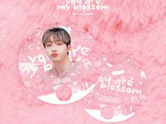 :･ﾟ✧ 𝐦𝐲 𝐬𝐮𝐧𝐬𝐡𝐢𝐧𝐞 , 𝐦𝐲 𝐥𝐮𝐜𝐤 ✧･ﾟ: