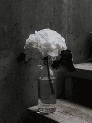 [21.08~09] PSYCHO-PASS