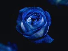 [마르른 합작] 에우리디케의 덫 01