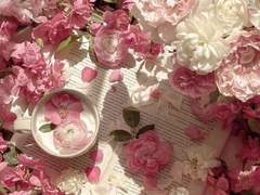 그리핀도르의 말성꾸러기 공주님!