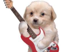 고몬 상시 커미션