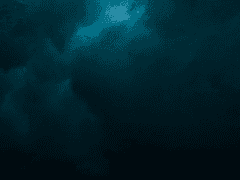 당신은 때때로 황당무계한 것을 믿을 필요가 있다. 01