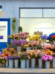 지금까지 이런 홍일점은 없었다