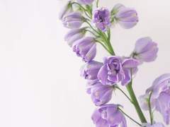 리키 유사 - 고딩 유사 3