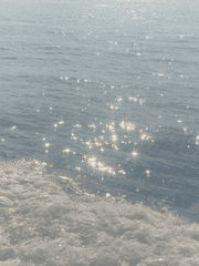 파도가 남기고 간 거품은 벚꽃을 닮았고