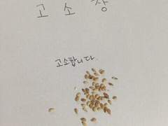 너 때문에 와르르억장