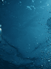 [겸원] Straight Line