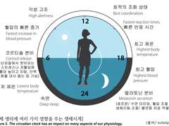 최근에 알게된 과학적인 사실 몇 가지