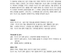 임대형 <메리크리스마스 미스터 모> 분석문