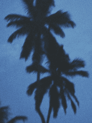 ᴛʜᴇ ᴏʀᴀɴɢᴇ ᴇᴀʀᴛʜ