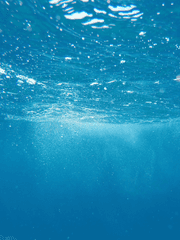 오오사와 마리?