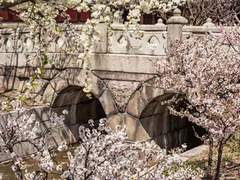 [안산] 戀戀不忘(연연불망)