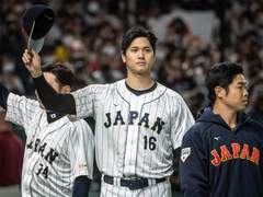 오타니 쇼헤이 사주 (고급사주)