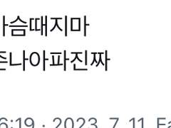 다년간의 젠더통으로 다져진 고급보디