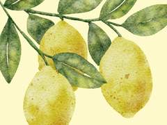 한가로운 루머 01