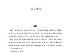 어떤 낭만주의자